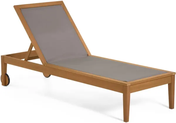 Caterin, tumbona de exterior, gris, madera maciza