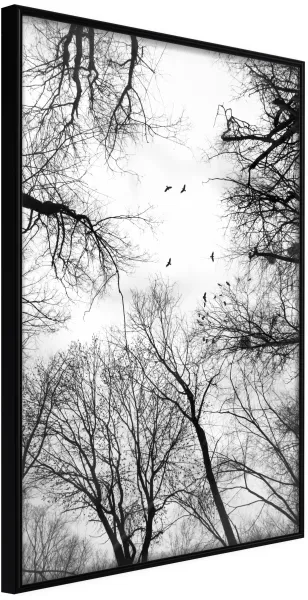 ARTGEIST Póster con marco - Treetops Negro 40x60