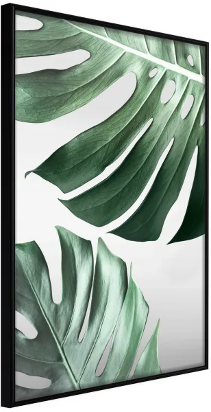 ARTGEIST Póster con marco - Leaves Like Swiss Cheese Negro 30x45